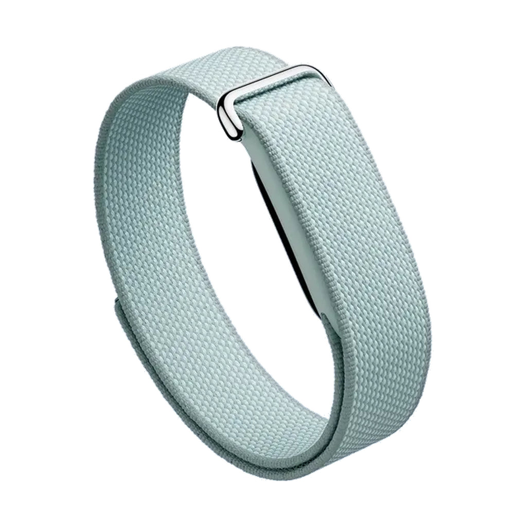 Google Fitbit Air Brume