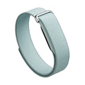 Google Fitbit Air Brume