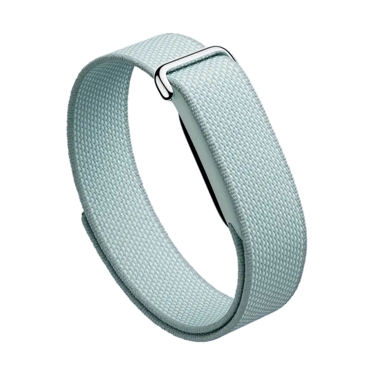 Google Fitbit Air Brume