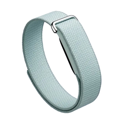 Google Fitbit Air